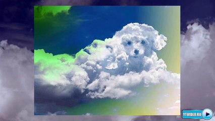 Детская минусовка Облака - белогривые лошадки из мультфильма Трям!Здравствуйте!