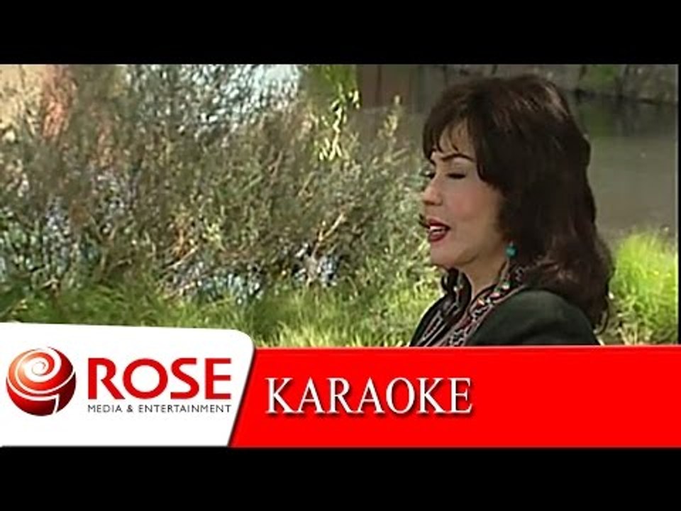 เอาความขมขื่นไปทิ้งแม่โขง - รุ่งฤดี แพ่งผ่องใส (KARAOKE)