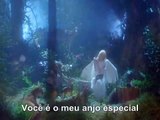The Vogues - My Special Angel - Tradução em português