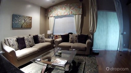 Funny Dog Video - Roomba Runs Over Dog Poop