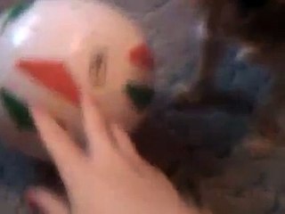Jessy (Yorkie terrier) the funny bark dog - vicces ugatós kutya - funny dog videos