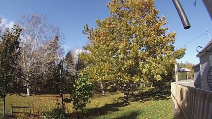 Home Sunny Time Lapse