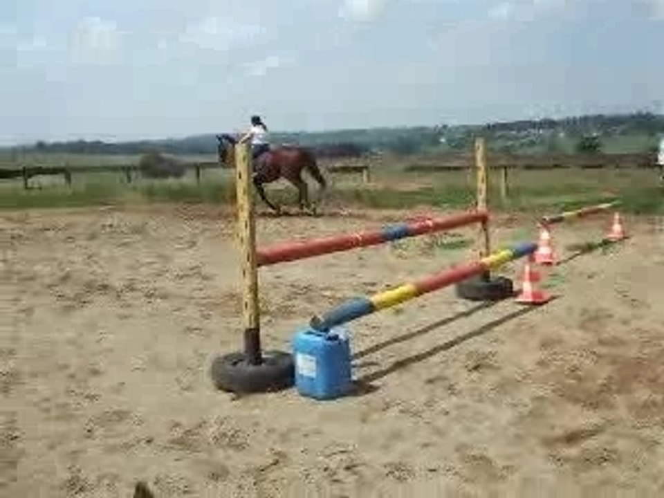 DSCF0784
