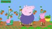 Peppa Pig English Episodes - 37 Lunch