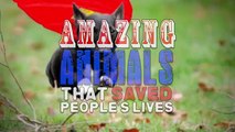 Unbelievable Animals That Saved People's Lives