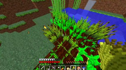 Survival 1.7 Ep 3 Avanzamos poco -.-