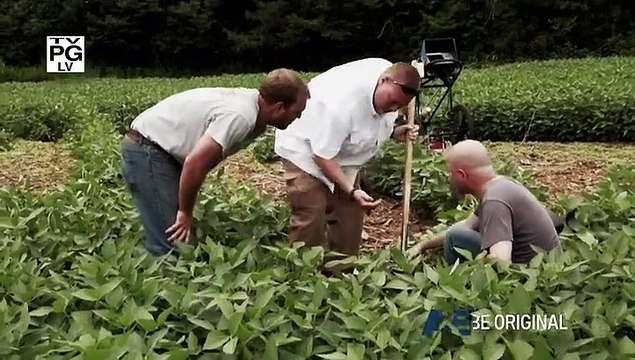 Cursed The Bell Witch Part 4 Ghosts Interrupted