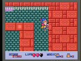 Magical Taruruuto-Kun [SEGA Mega Drive]