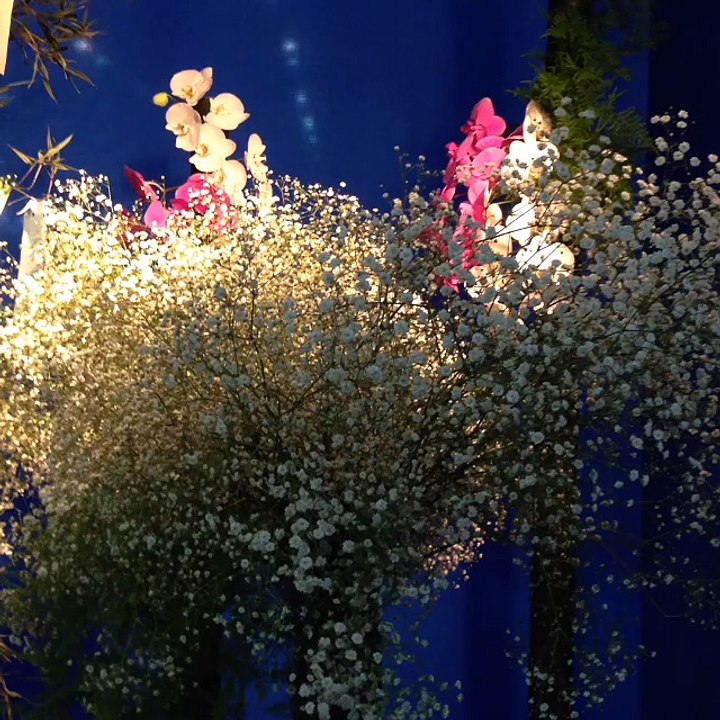 tanabata