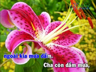 [HD] karaoke Sa mưa giông Phương Mỹ Chi