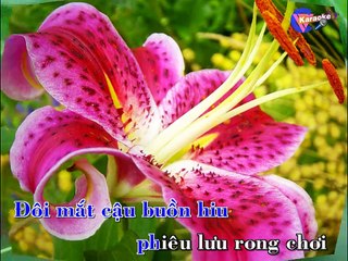 CÒN THƯƠNG RAU ĐẮNG MỌC SAU HÈ Phương Mỹ Chi-[KARAOKE NEW]