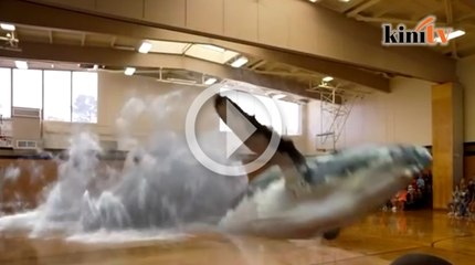 Video ikan paus melompat keluar dari lantai gimnasium sekolah