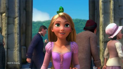 Que 2016 soit remplie de Magie Bonne année !