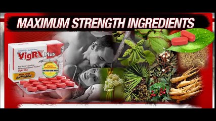 VigRX Plus Ingredients
