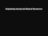 PDF Regulating Energy and Natural Resources Free Books