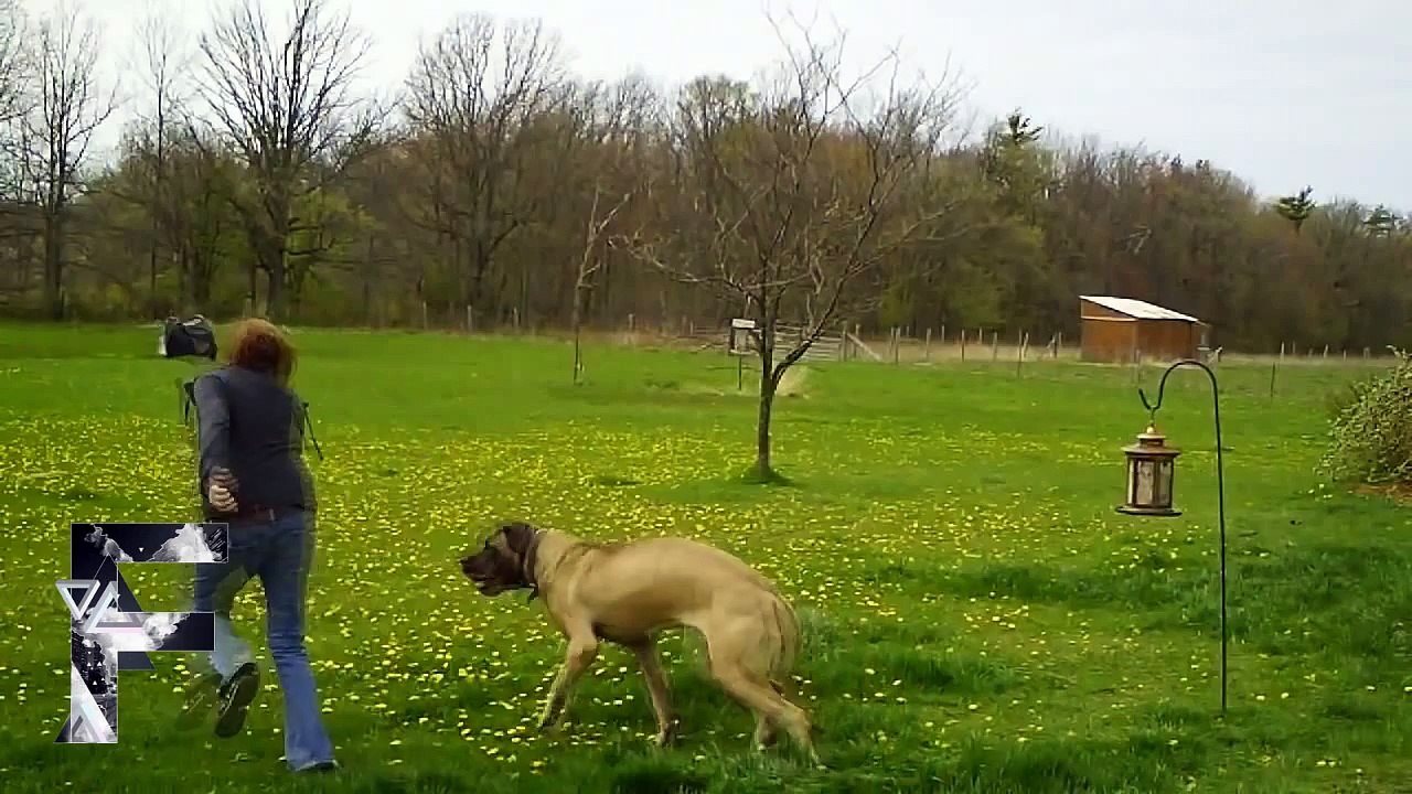 Animals Can Be Jerks