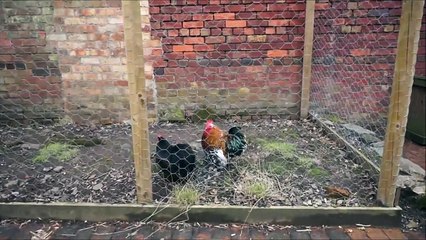 Blists Hill Victorian Town Pt.1