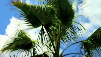 Gabriel Davi Beautiful (Official Video)