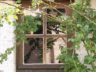 Quand le chat n'est pas là...