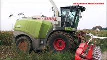 Mais Hakselen 2015 : Egide London, Claas Jaguar 980, 7 x John Deere, Aalbeek