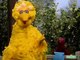 Sesame Street - Big bird and telly on questions