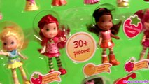 Strawberry Shortcake Mix & Match Dress n Fashions Berry Dolls Review by Disneycollector