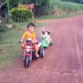 Vine: Pug puppy wants back on the Motorcycle