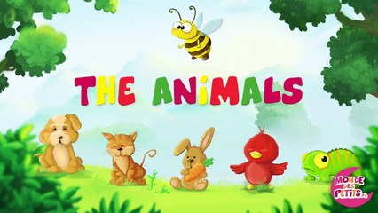 Japprends les animaux en Anglais!