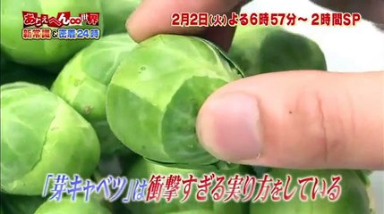 キャベツの中にできる(๑´≧ڡ≦`๑)ﾃﾍﾍﾟﾛ  髙木雄也