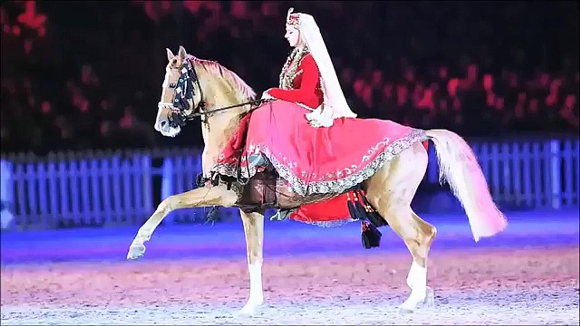 Танец лошадки. Танец с лошадью. Северная танцовщица лошадь. Диско Дансер лошадь. Музыка для лошадь танцует.
