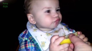 Babies Eating Lemons for the First Time