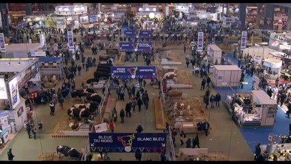 Bande annonce du film "Saint Amour"