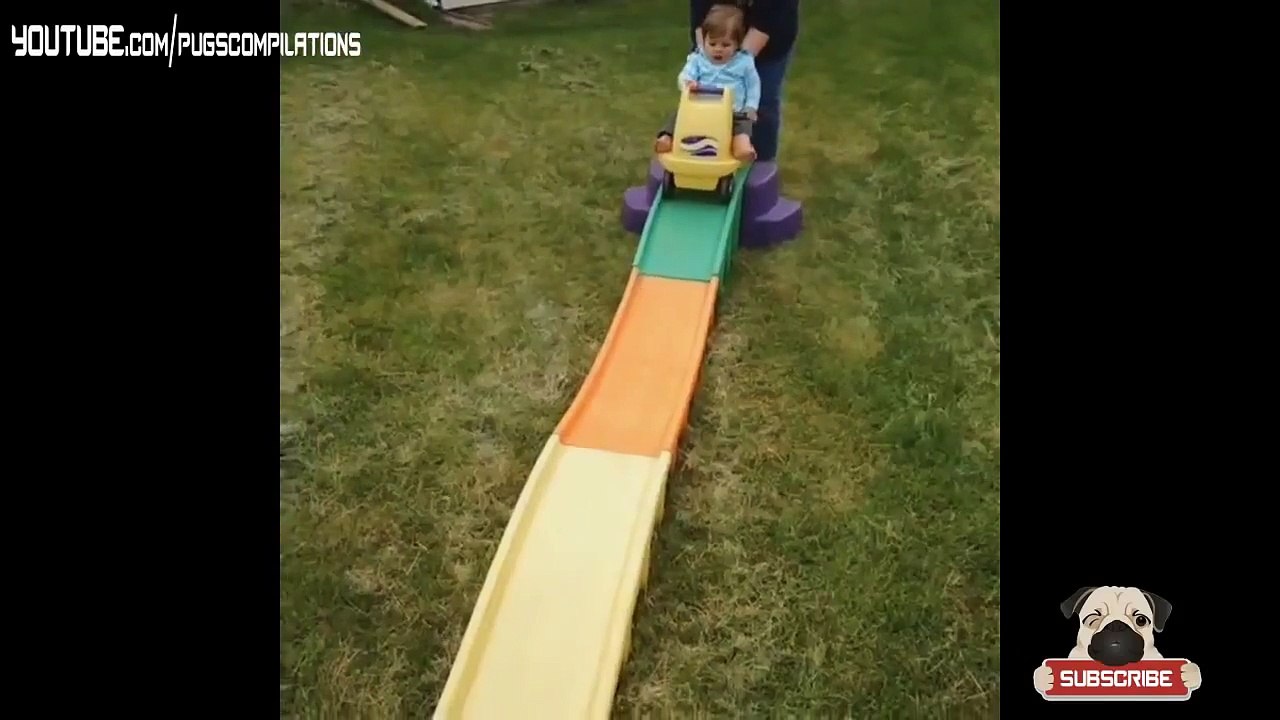 Funny Pug Vine Compilation 2 | Funny Dogs & Pugs are Awesome