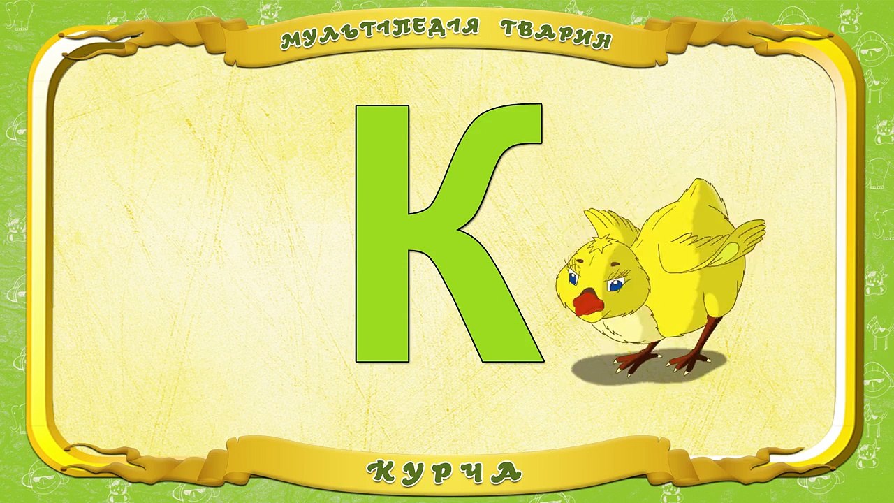 Мультіпедія тварин. Літера К Курча