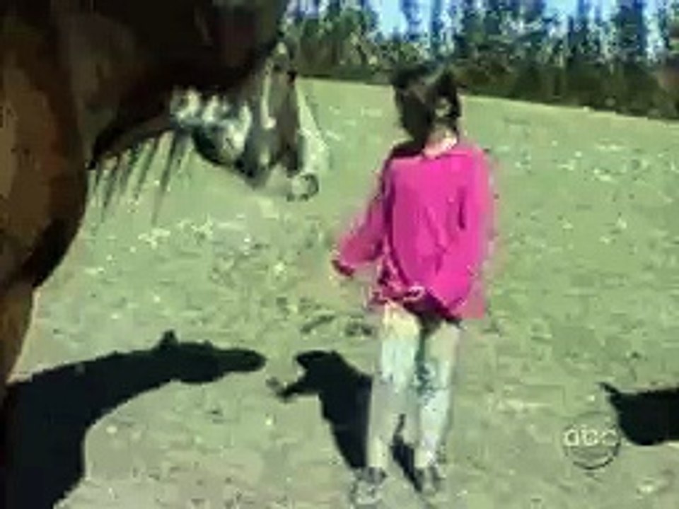 Interesting Video # 17