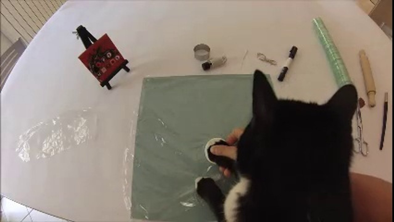 ART-HOBBY]- Tuto- Empreintes de chat dans la Pâte Polymére (FIMO)