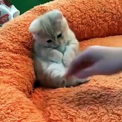 Little sweet heart - way too cute