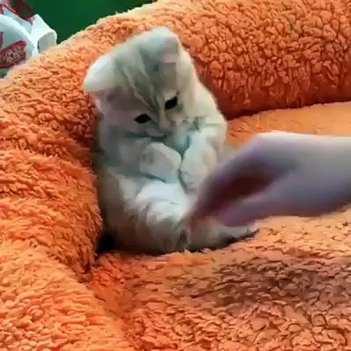 Little sweet heart - way too cute