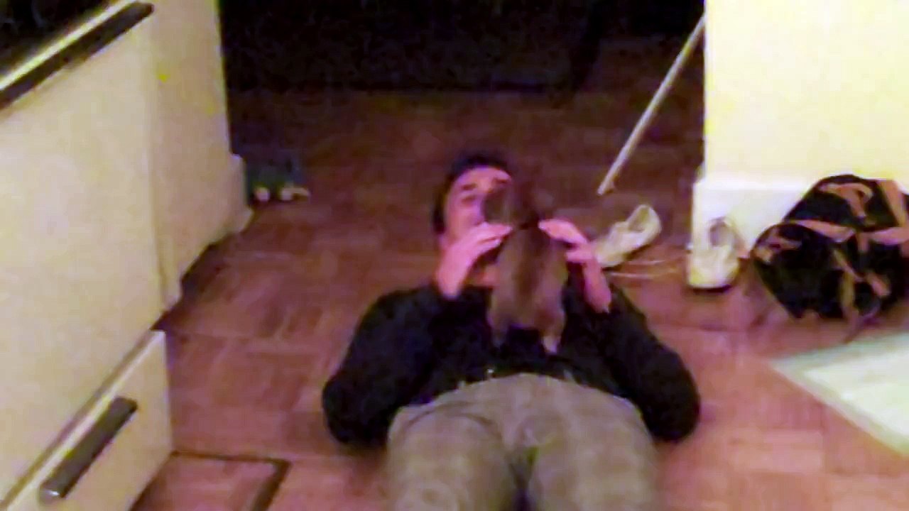 Dachshund Puppy Goes Crazy When Dad Gets Home
