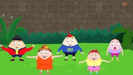 Humpty Dumpty Finger Family  Finger Family