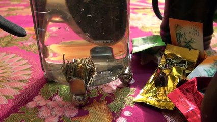 Вязанный Чай Распускающийся Цветок Лотоса