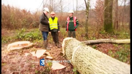 Pourquoi chercher plus loin : Le bois et le vin (bande-annonce)