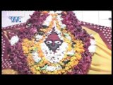 गली गली गुंजेला माई के जैकारा - Gali Gali Gunjela Mai Ke Jaikar - Bhojpuri Bhakti Video Jukebox 2016