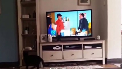 Komik Videolar Fail Anlar