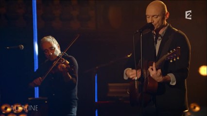 Alcaline, le Mag : Louise Attaque - J't'emmène au vent en live