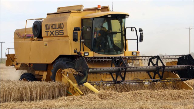 New Holland harvesting wheat.2015