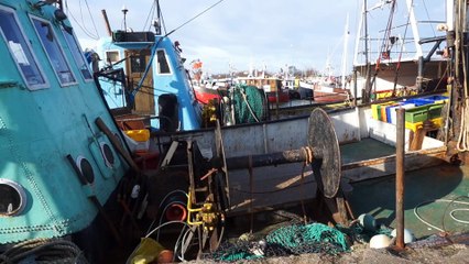 Zimowy dzień w Porcie Władysławowo cz.2 - 08.02.2016