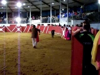 RUGBY Y TOROS - CAPTIEUX