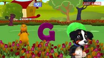 Bingo male turtaise Song Nursery Rhyme With Lyrics Cartoon Animation for Children