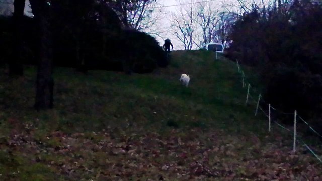 petite descente en VTT